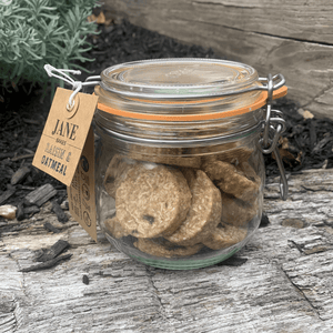 Raisin Oatmeal Cookie Jar - jane bakes inc